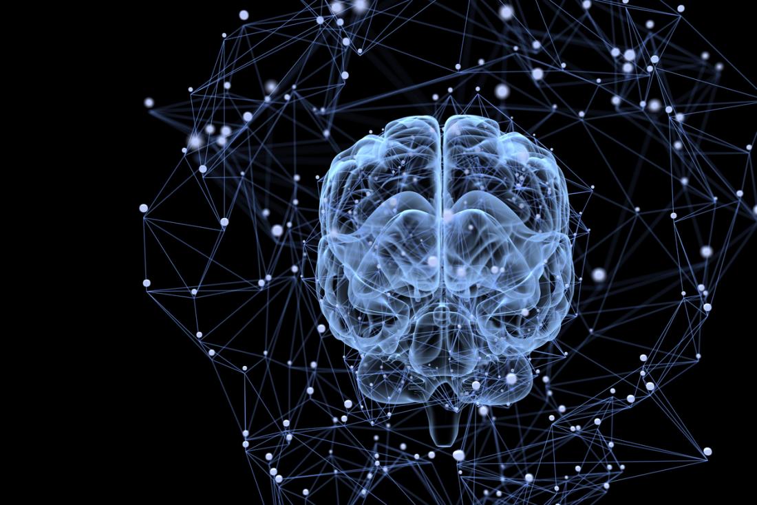 Schizophrenia Brain