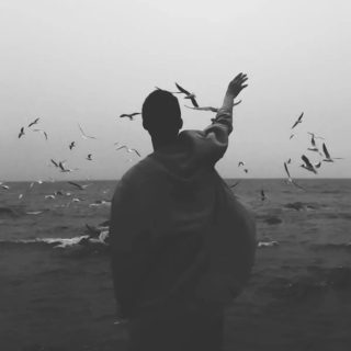 Birds Dear World Person Waving Suicide
